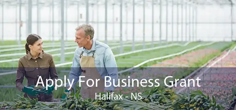 Apply For Business Grant Halifax - NS